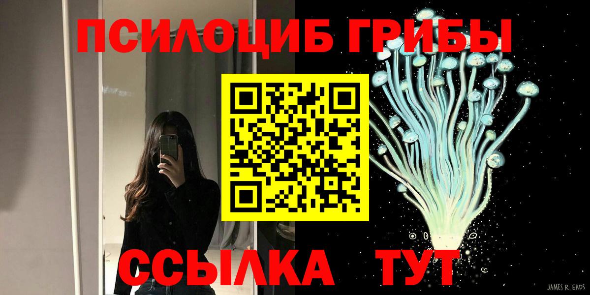Южноуральск  Псилоцибиновые грибы Psilocybine cubensis  Вход с VPN  хочу   Псилоцибиновые грибы прущие грибы 